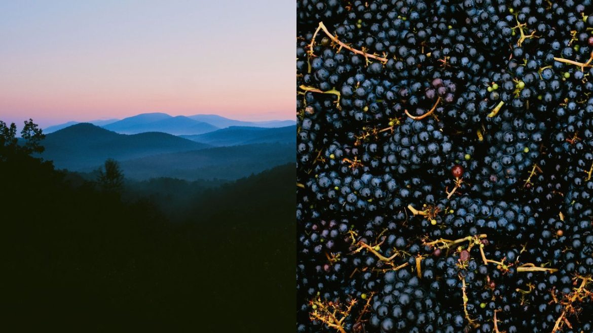 It's a Great Moment for American Wine