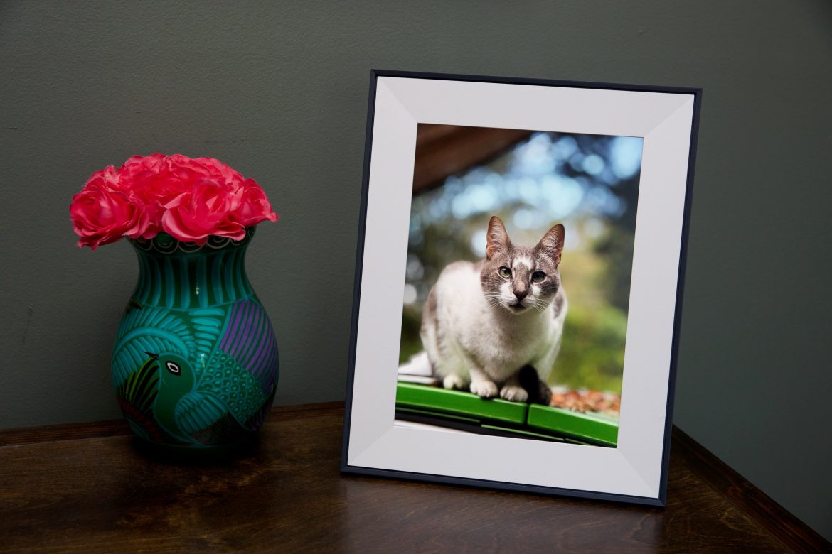 Aura’s newest, gift-appropriate digital photo frame is $30 discounted for Black Friday