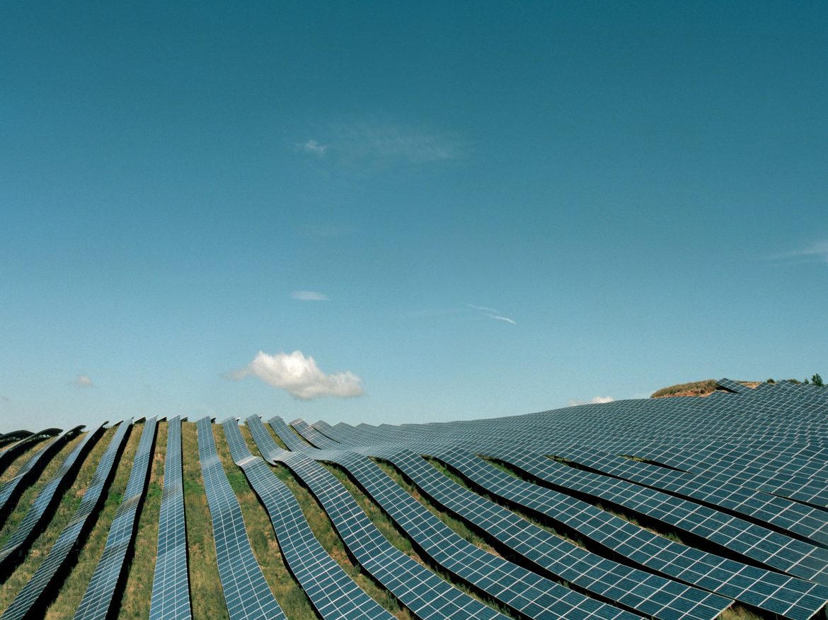 Four positive developments in climate news in 2025