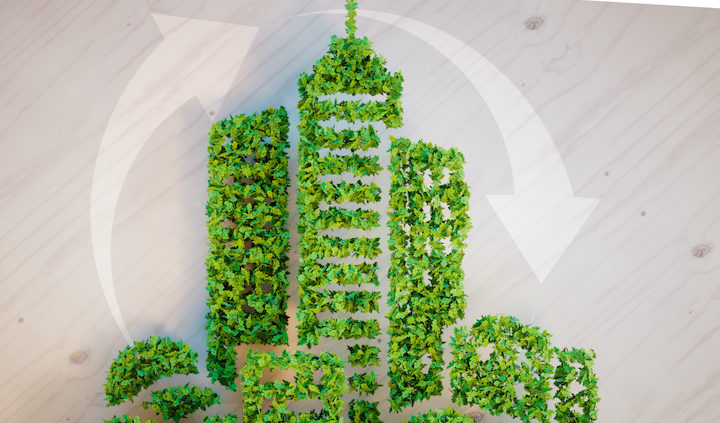 Leonardo's method of charring wood predates the Japanese technique.