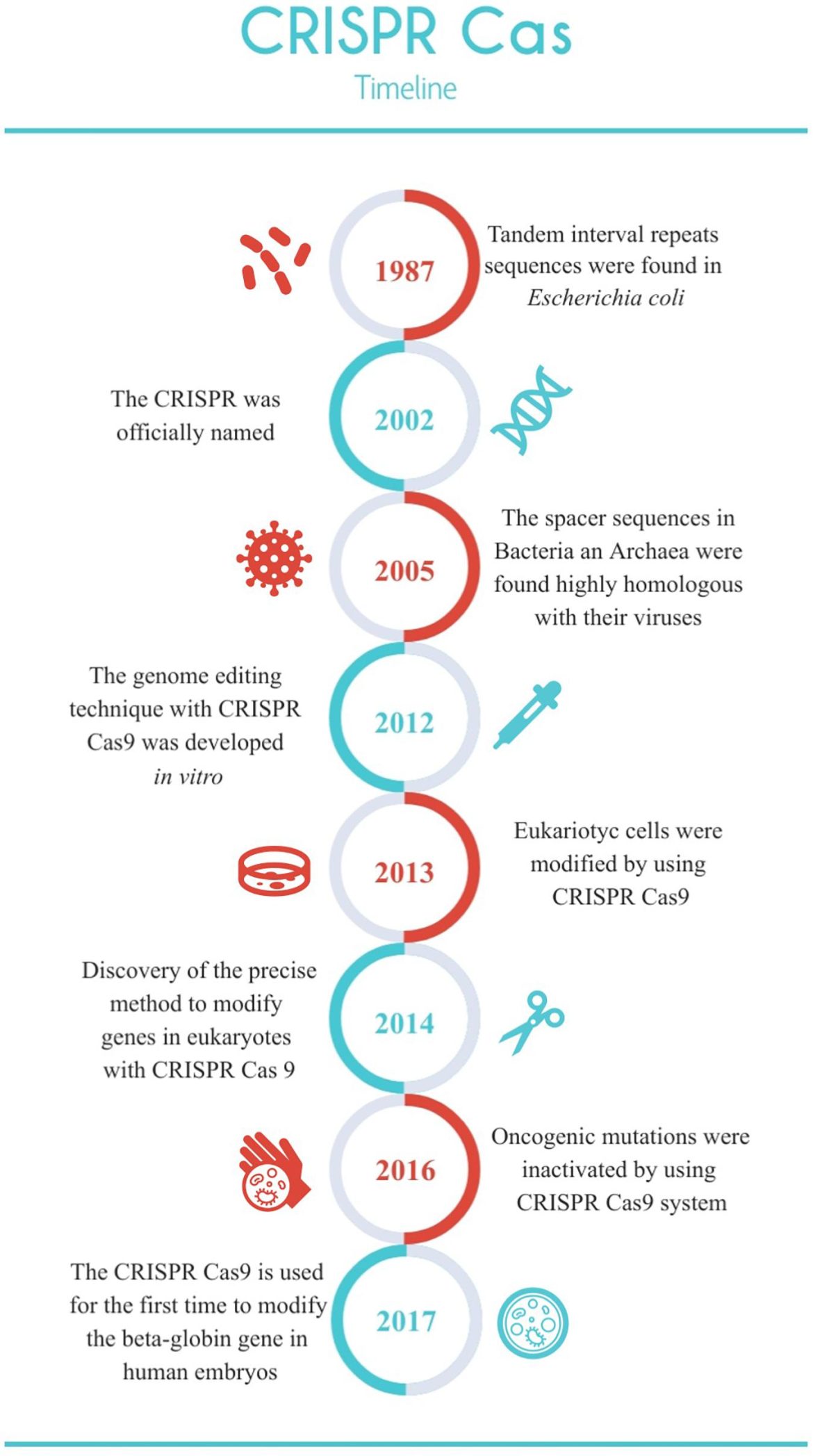 A new CRISPR startup is wagering that regulators will relax their stance on gene-editing.