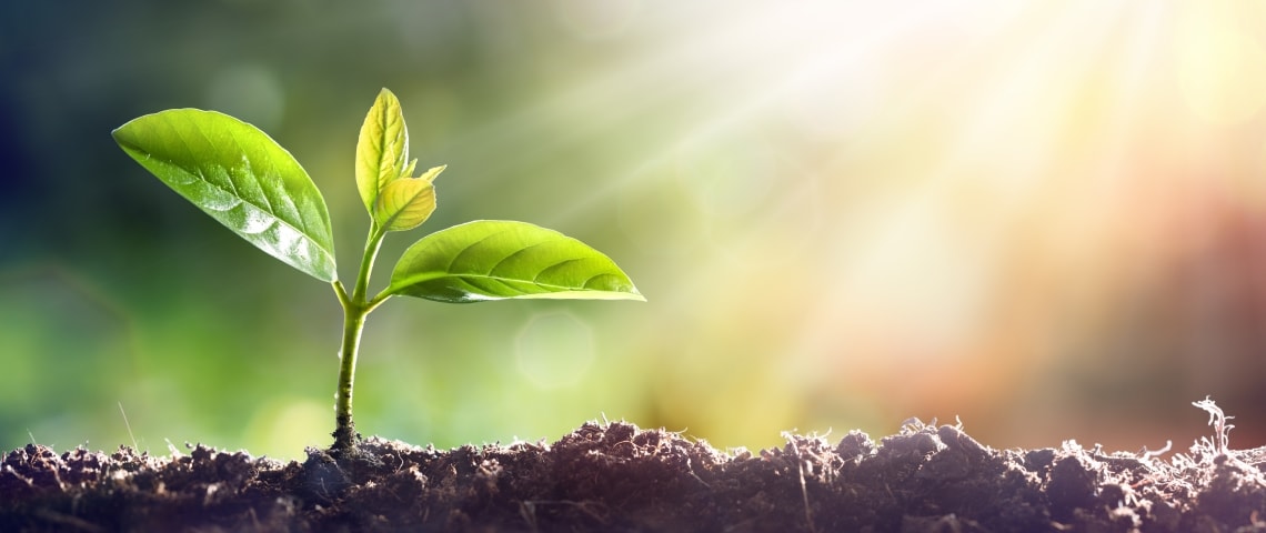 China is about to commence its significant policy conference. What will be the major announcements?