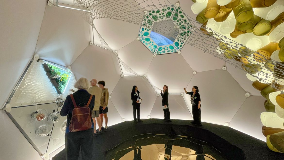 The Download: the internet's top weather application, and the reason individuals chill their minds