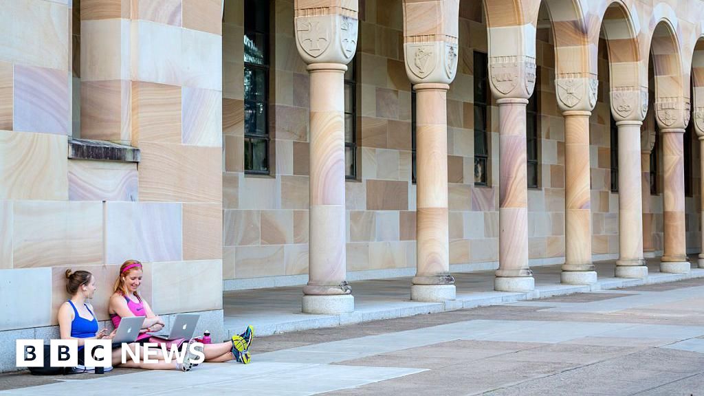 Aboriginal children's book withdrawn due to illustrator's remarks on Bondi attack