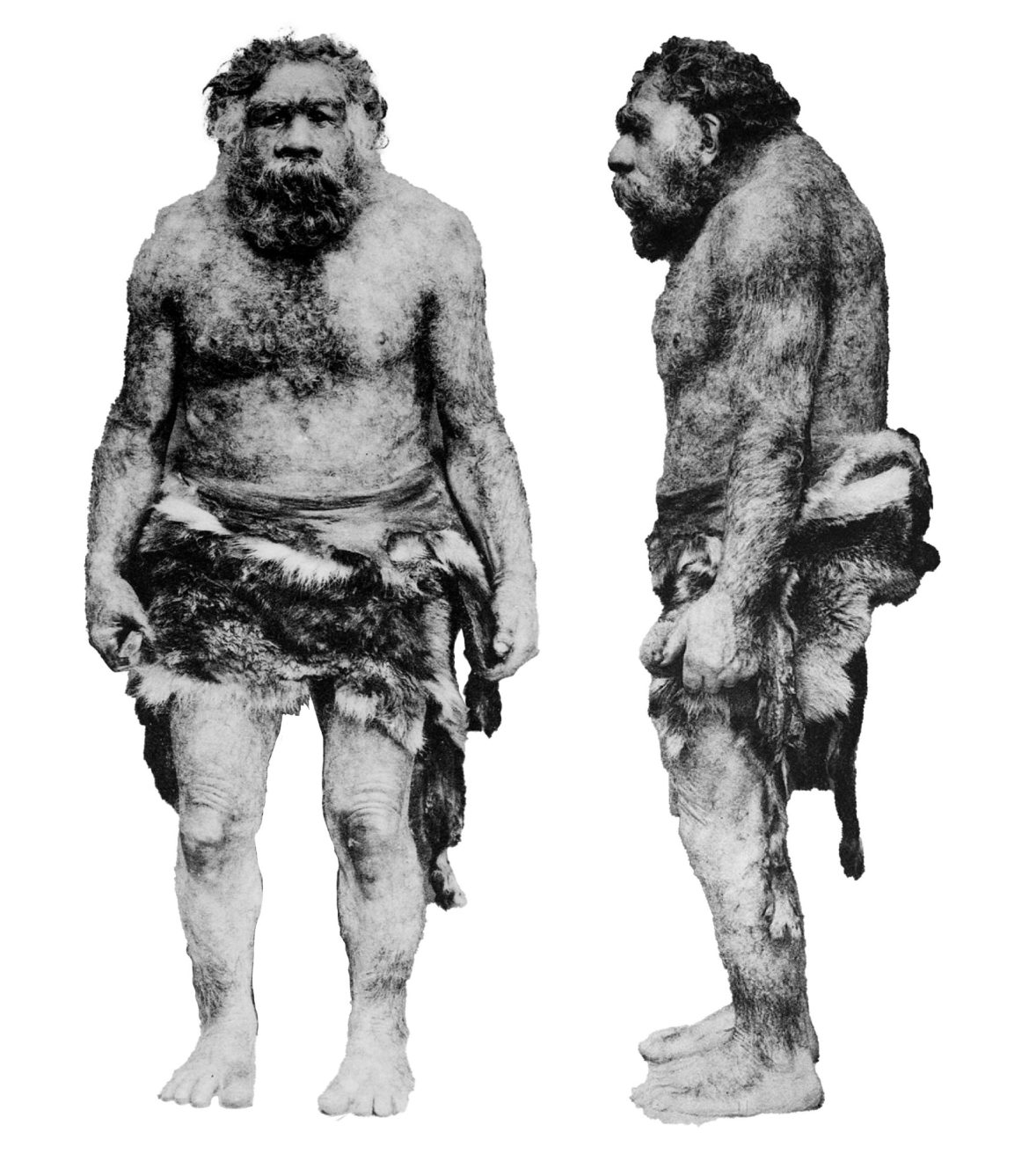 The issue with believing youâre part Neanderthal