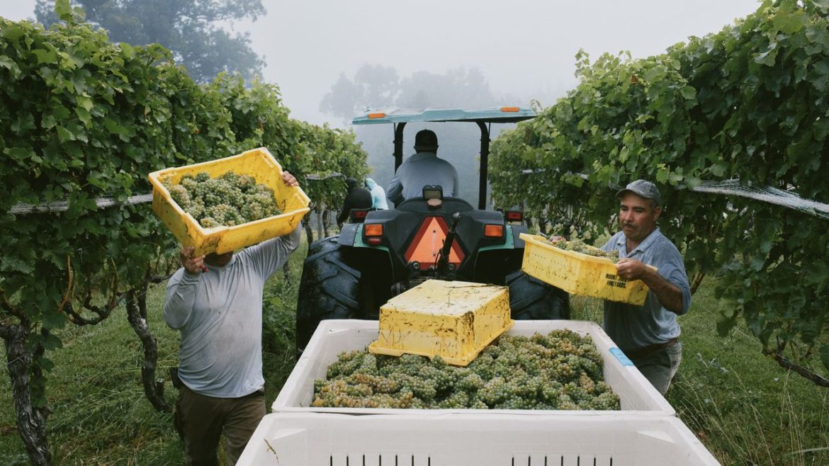 We Advocate for Consuming Locally, So Why Not Sip Locally?