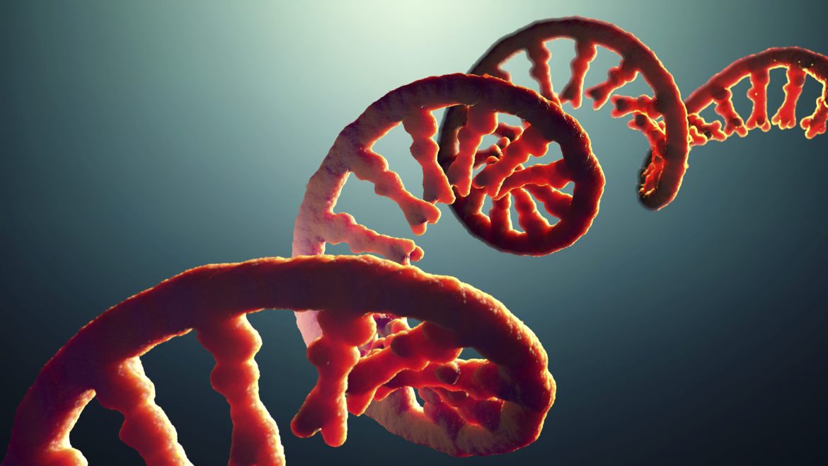 Do you take after your dadâs RNA?