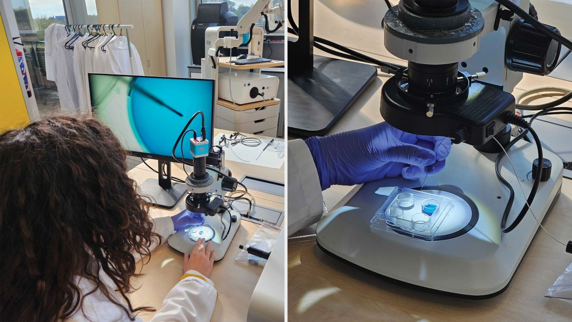 Whatâs next for IVF