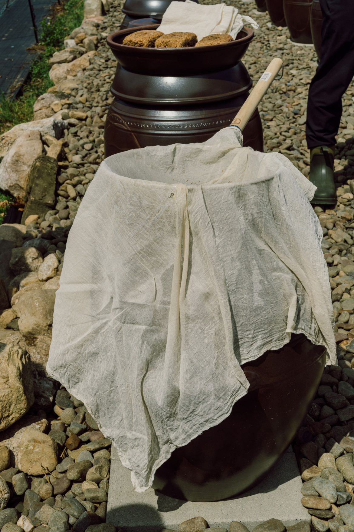 Why Some of Americaâs Most Influential Korean Chefs Are Turning to Farming