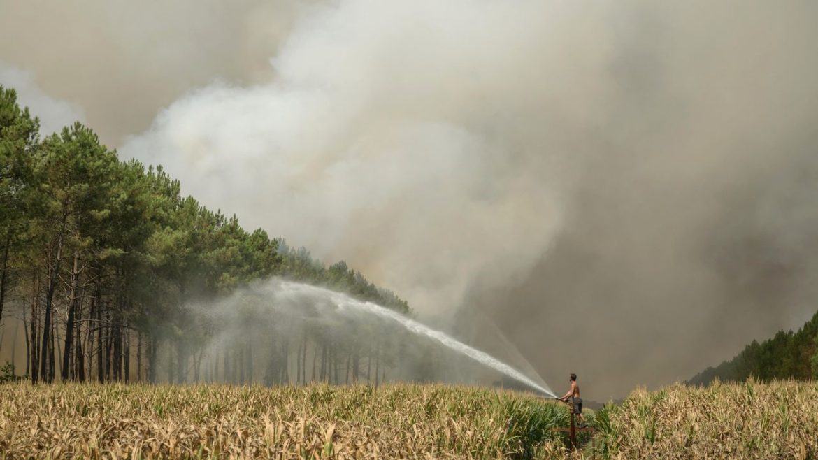 Bordeaux Wildfires Threaten the 2026 Vintage