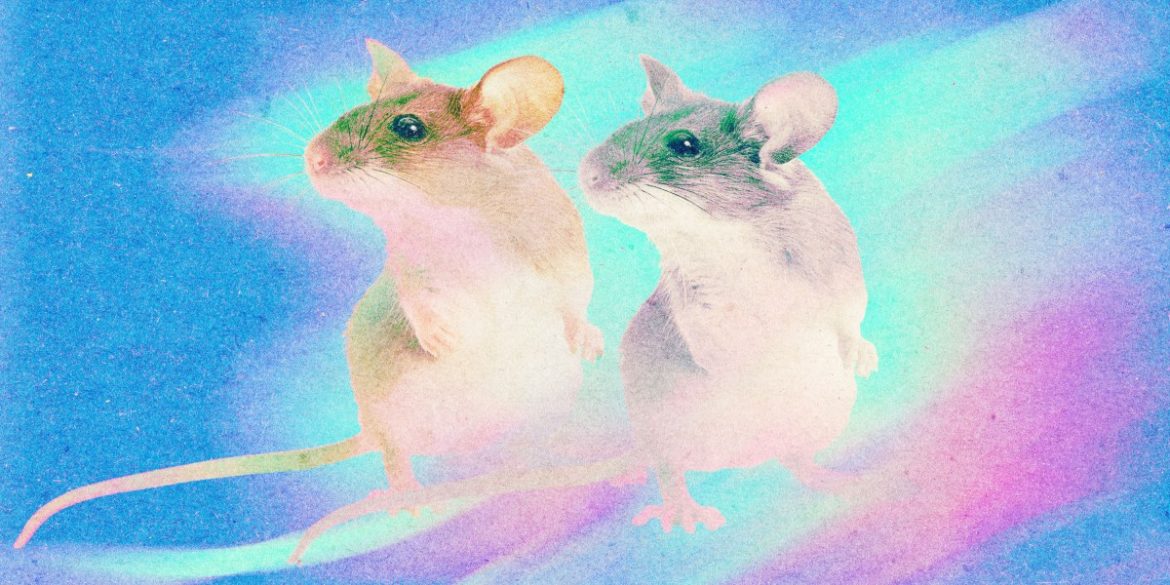Cloning could be used to save speciesâor make human âorgan sacksâ